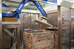 Our robots ensure accurate and efficient packing.